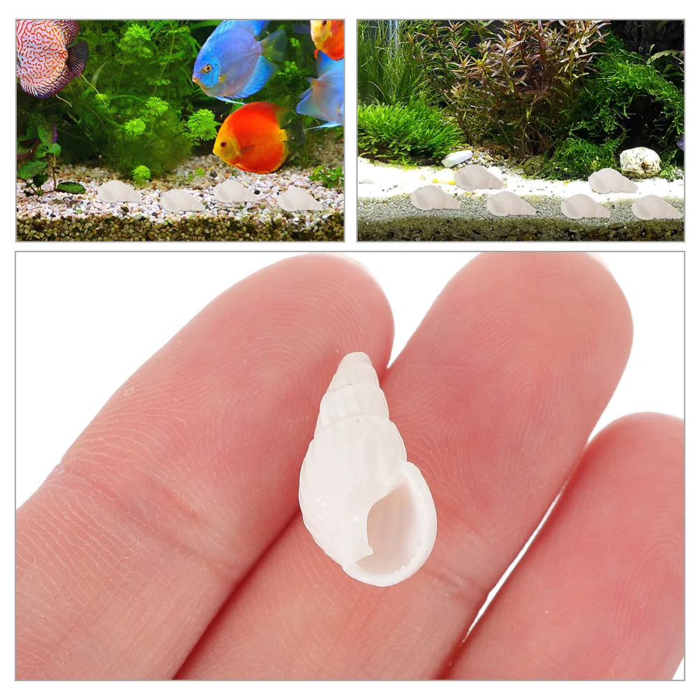 

400pcs Seashell Conch Decoration for Fish Tank Aquarium Natural Shells Adorn Smooth Edge Creative DIY Craft Decor