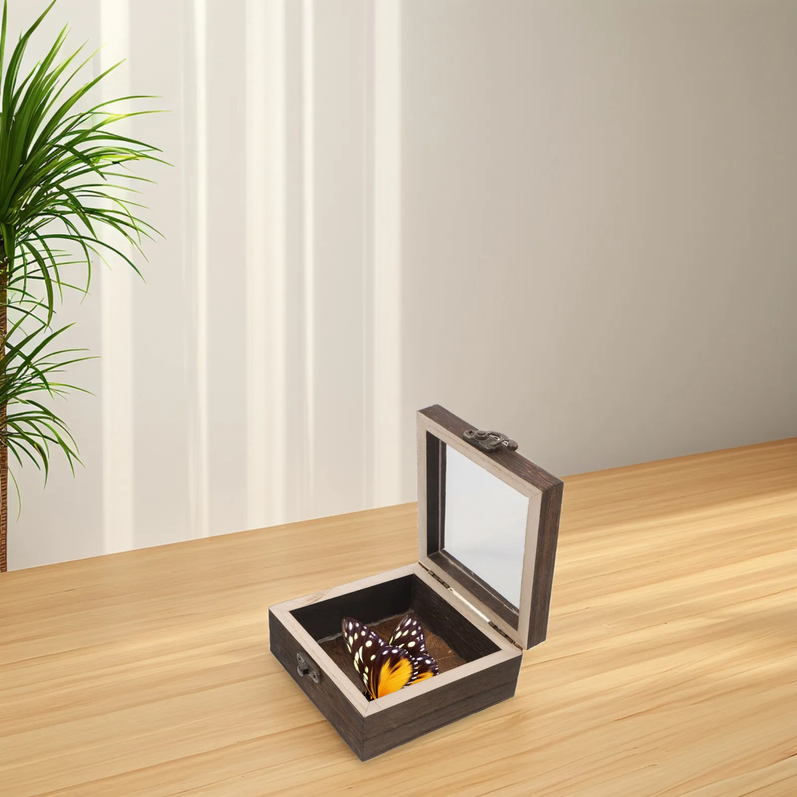 Natural Wood Insect Specimen Storage Box Butterfly Collection Display Case Dried Flower Frame Shadow Box for Education DIY Craft