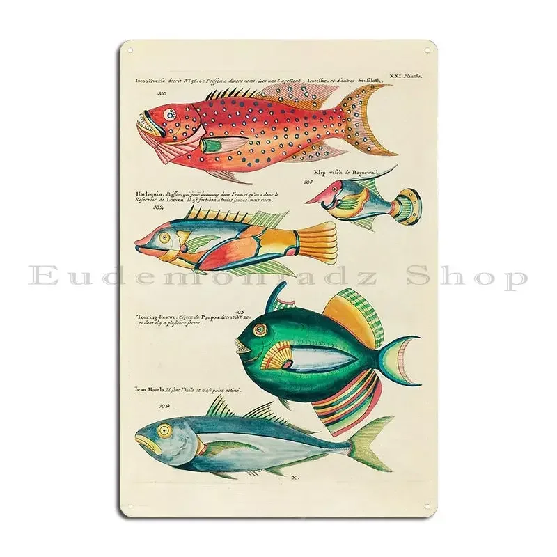 Antique 19th Century Fish Illustration Metal Plaque Poster Pub Create Wall Cave Funny Personalized Tin Sign Poster