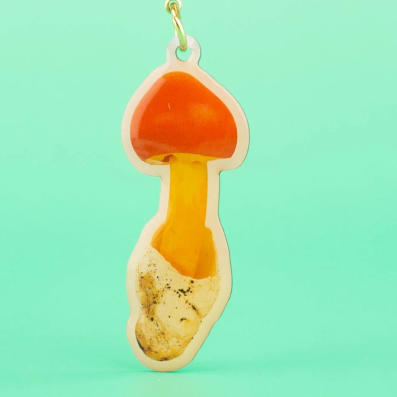 Japan Ikimon Gashapon Capsule Toy Kitan Food Pendant Standing Sign Cute Mushroom Pendants