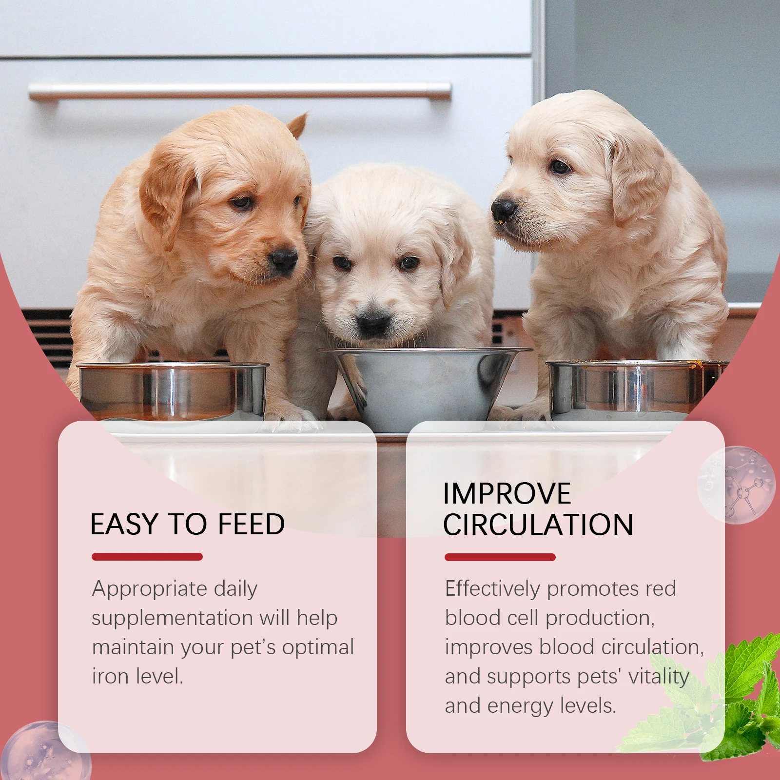 Blood Circulation Improvement Syrup Dogs – Protects Pets Promotes Red Blood Cell Production Aids Absorption Care Supplement