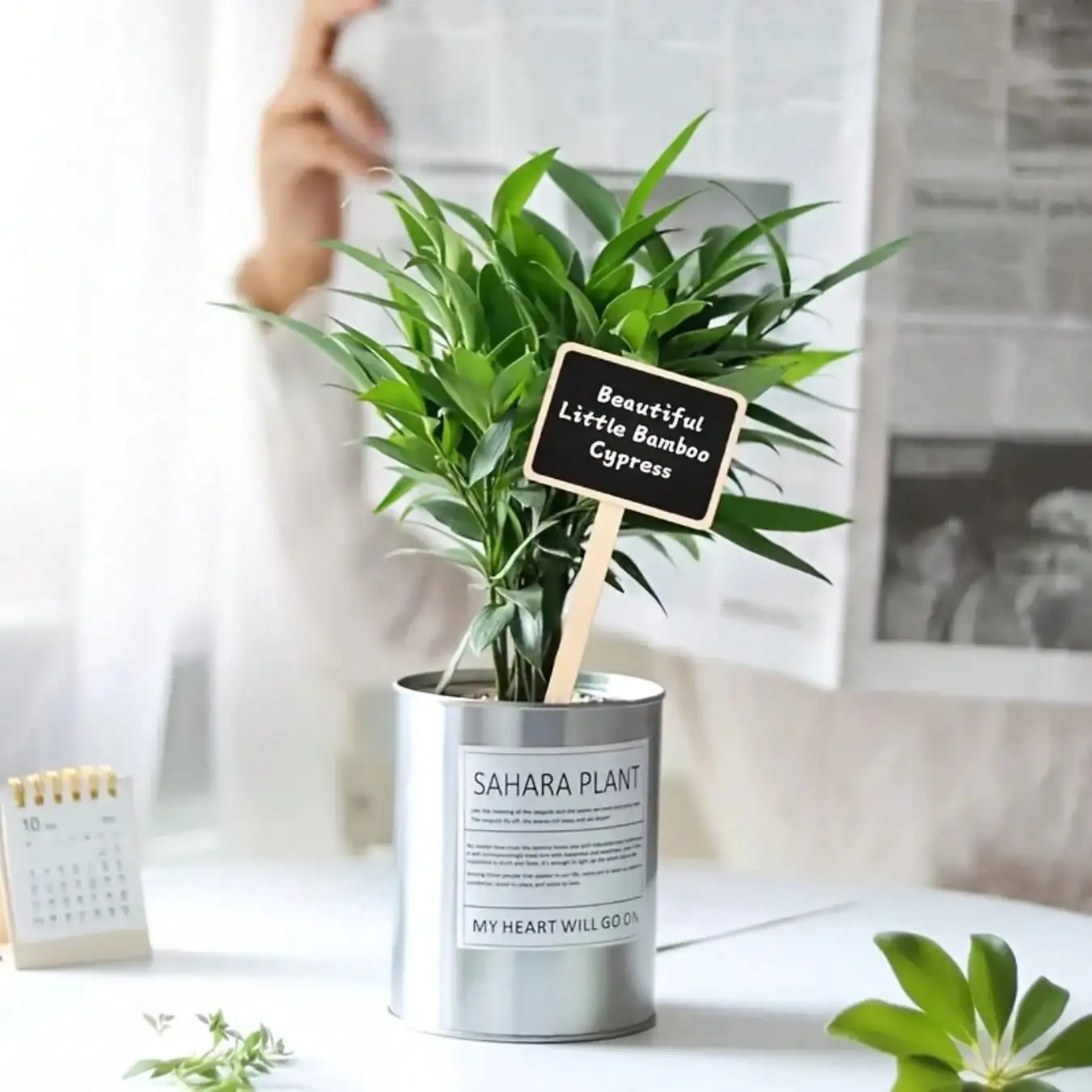 10-piece set of rustic wooden plant labels, equipped with T-shaped garden signs and information boards with blackboards