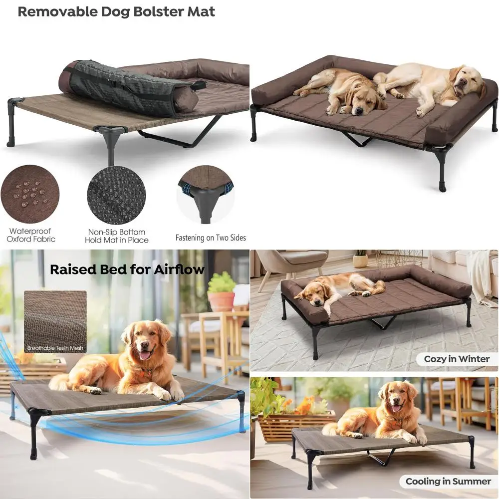 Elevated Dog Bed Wi…