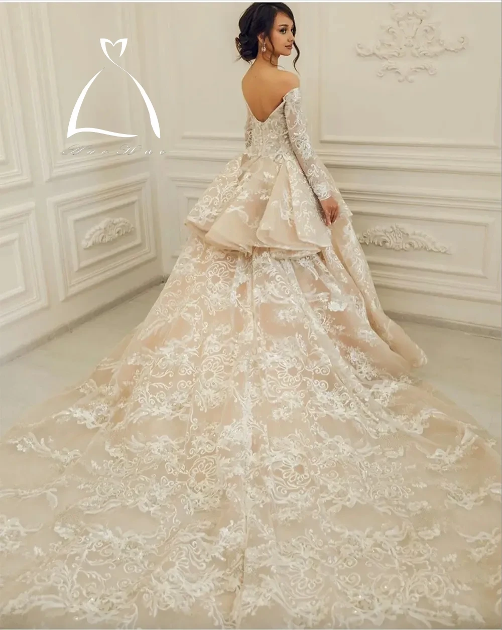 Robe de Mariée Trapèze en Tulle de Grande Taille, Champagne, à Manches sulf, Appliques en Dentelle, avec Traîne de Balayage, pour les Patients