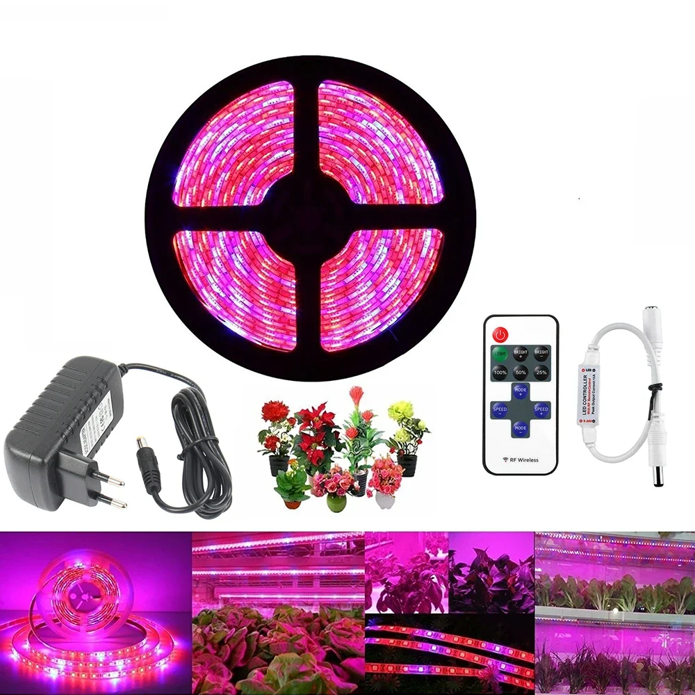 20M 15M 10M 5M Plant LED Grow Light 4:1 Full LED Spectrum Grow Light Strip SMD DC 12V LED Phyto Tape for Flowers Greenhouses