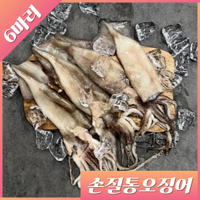 Artemisa-preparada, ordenadamente limpia, calamar que cae en el océano, 6 calamares (aproximadamente. 780g)_260G Por paquete X 3 paquetes