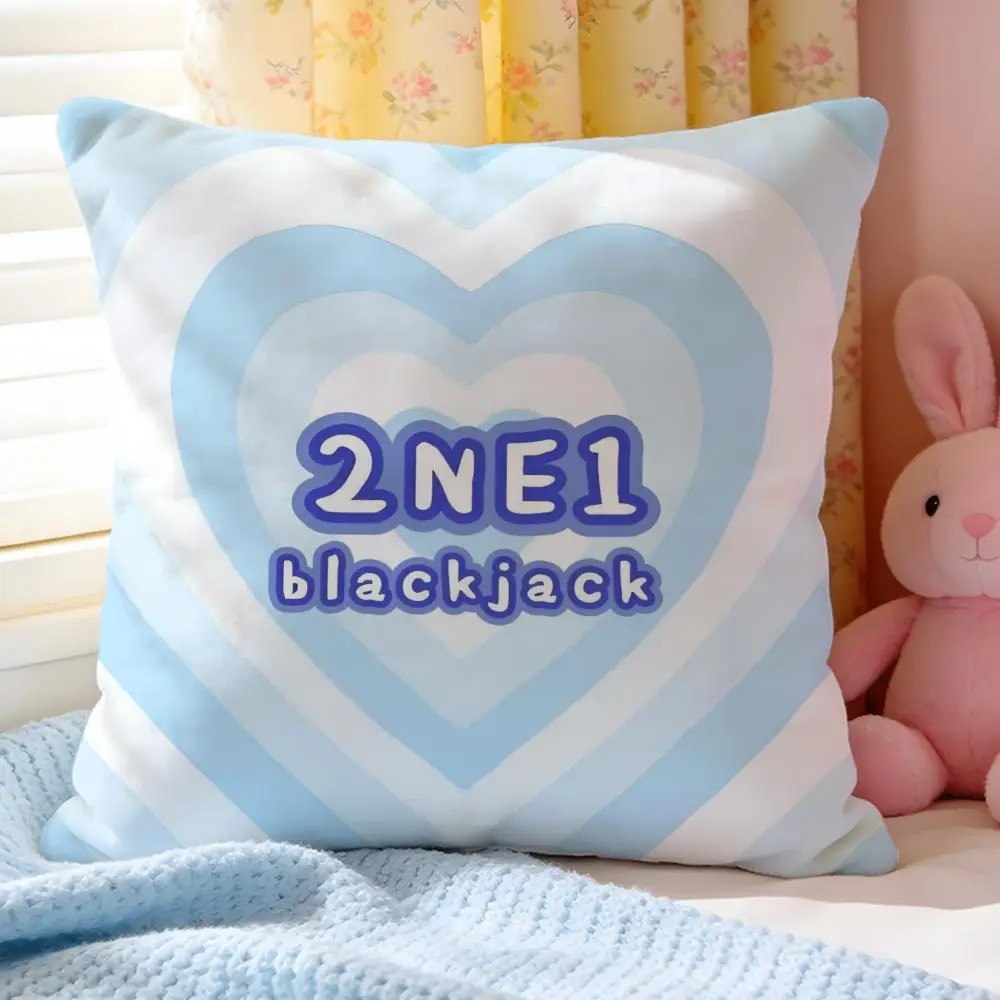 Kpop Hot 2N-Ne1 Singer Pillow Case Soft Washable Short Plush Modern Decorative Cushion for Sofa Bed Office Car Living Room