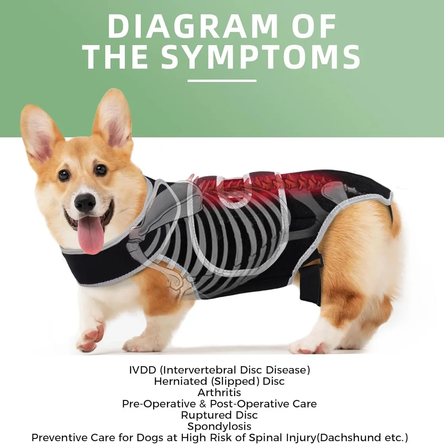 Dog Back Support Brace – Relieves IVDD,Hip Dysplasia, Arthritis & Spinal Injuries Adjustable Breathable Design Spinal Brace Vest