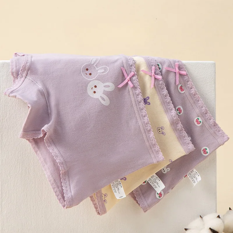 Culotte en Coton Anti-Adorable pour Fille, Sous-Vêtement Doux et Confortable, Imprimé Mignon, Mince et Respirant, pour Bébé de 3 ans et + ans, 3 Pièces