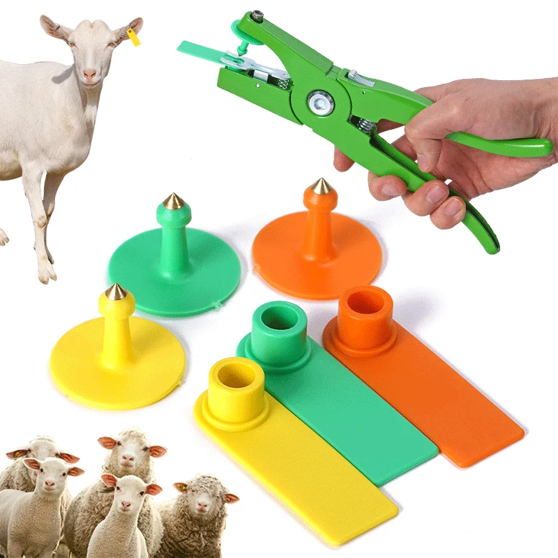 الأغنام الماعز الأذن العلامات دون عدد الأذن الليزر الكتابة النحاس رئيس أقراط مزرعة الحيوان تحديد الأذن العلامة 100 قطعة #1