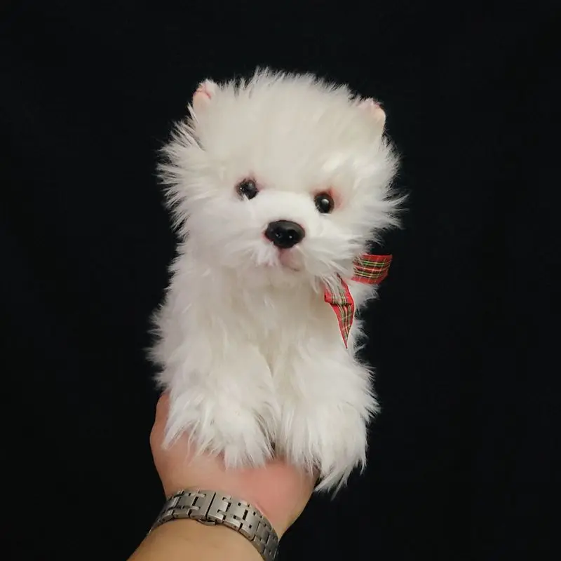 

L23 см милая имитация куклы-мема в стиле вестерн-хайленд, белая кукла-собака, плюшевая детская праздничная подарок для девочек