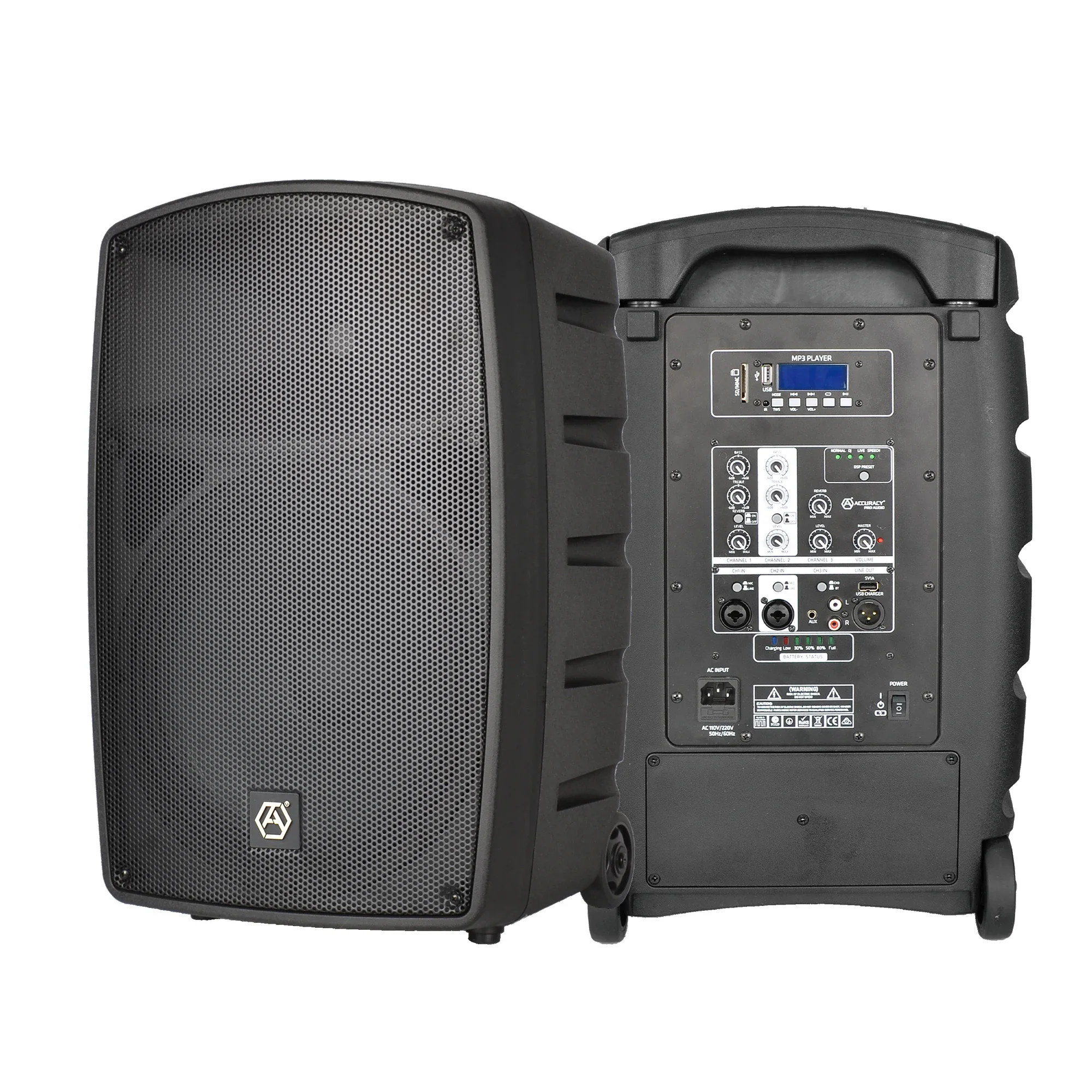 

Портативная акустическая система CT12D5-GO-U2-MP3 с усилителем мощности, микрофоном и Bluetooth для караоке