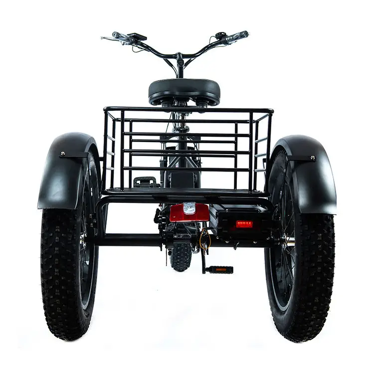 wholesaler adults 750w/500W 3 wheel car cargo electric chinese electric tricycle fat tire electric tricycle