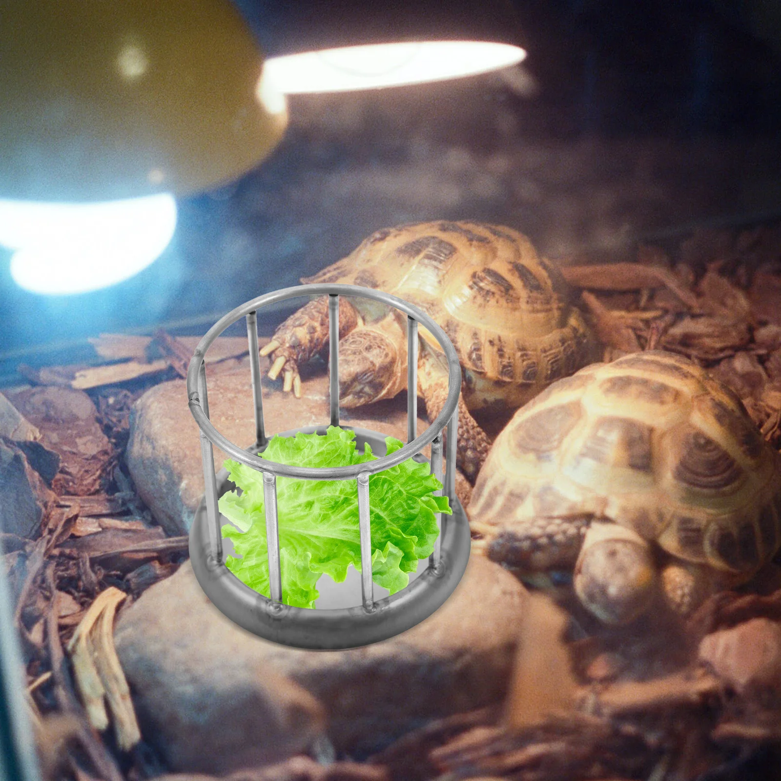 

Stainless Steel Feeder Lizard Water Dish Large Reptile Turtle Tortoise Food Bowl Dishes for Reptiles Feeding Supplies Container