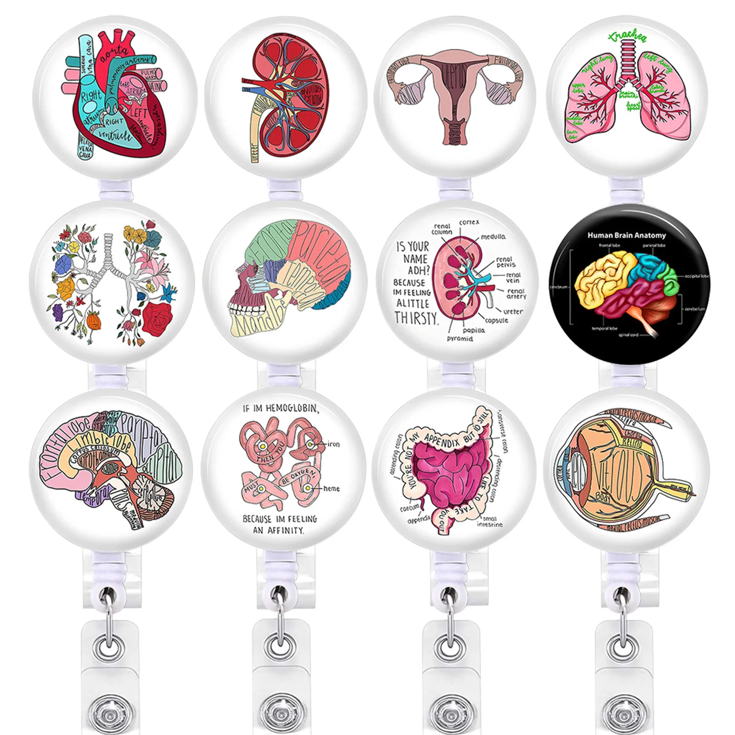 

Heart Spleen Lungs Brain Large Intestine Organs Are Easy To Pull And Retract With Identification Tags Doctor And Nurse Badges