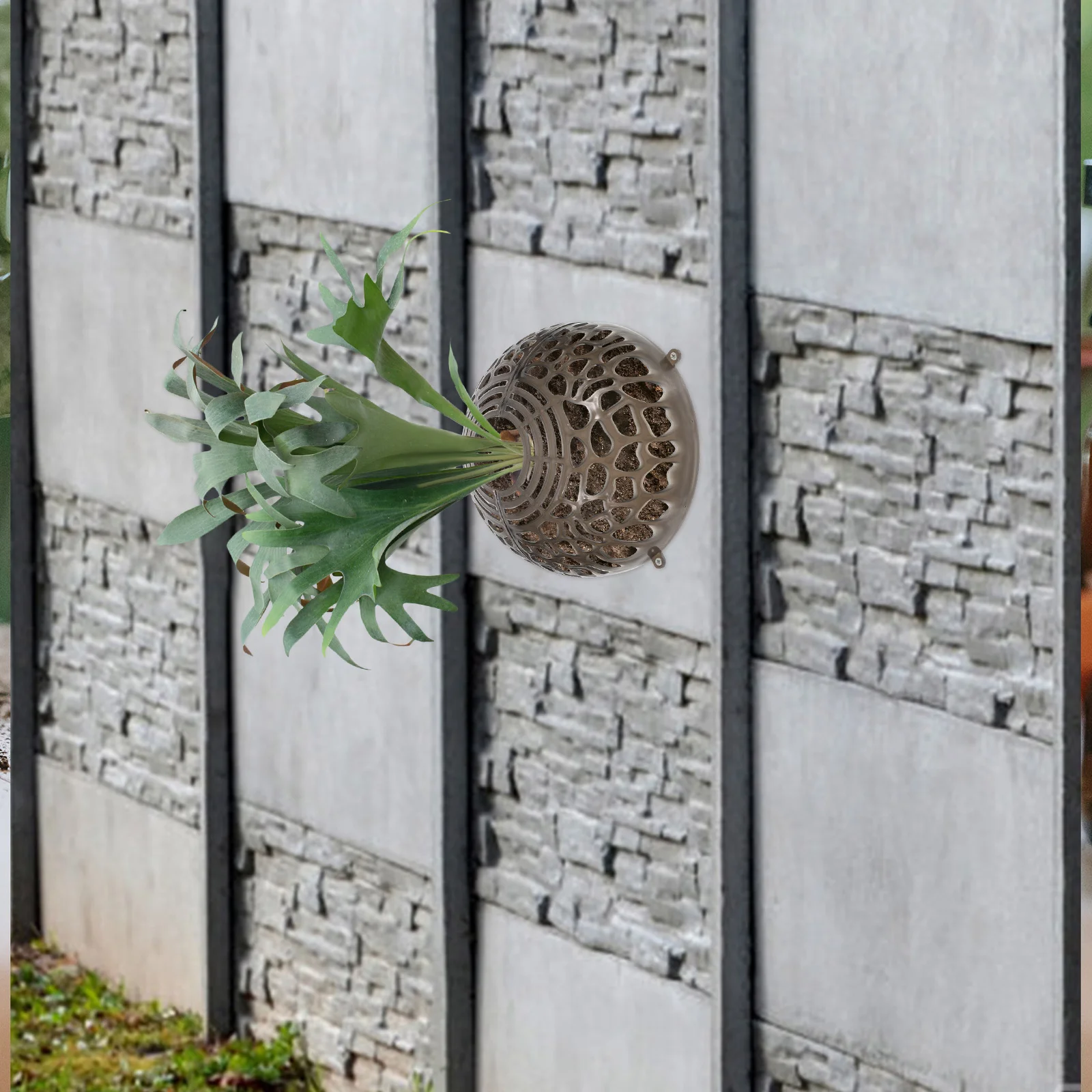 

Suspension Ball for Phalaenopsis and Water Plants Clear Breathable Planting Cover for Soil Protection Indoor Outdoor Decor Space