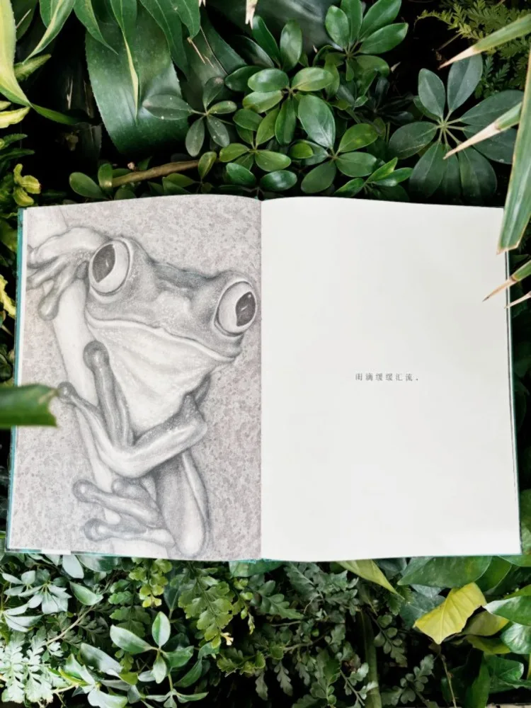 Book-Winshare There Is a Forest in My Eyes