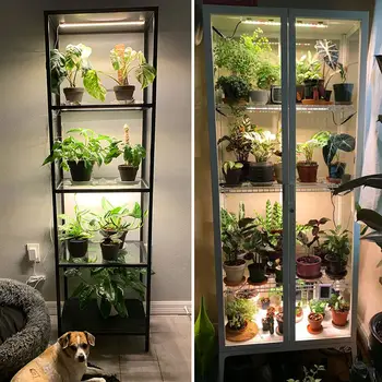 1/2/3/4hlavá LED pásková trubice pro pěstování rostlin s USB plným spektrem, fytolampa, stmívatelná časovače, sazenice, zelenina, květiny, pěstební lampa 10 nejlepší prodej Dr. Pen M8 - №7