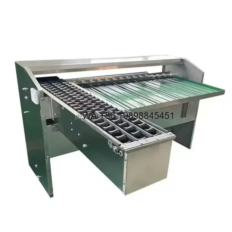 Wmwmnu New Stainless Steel Fully Automatic High Precision 0.5g Chicken Egg Washing Sorting Easy Operate Large