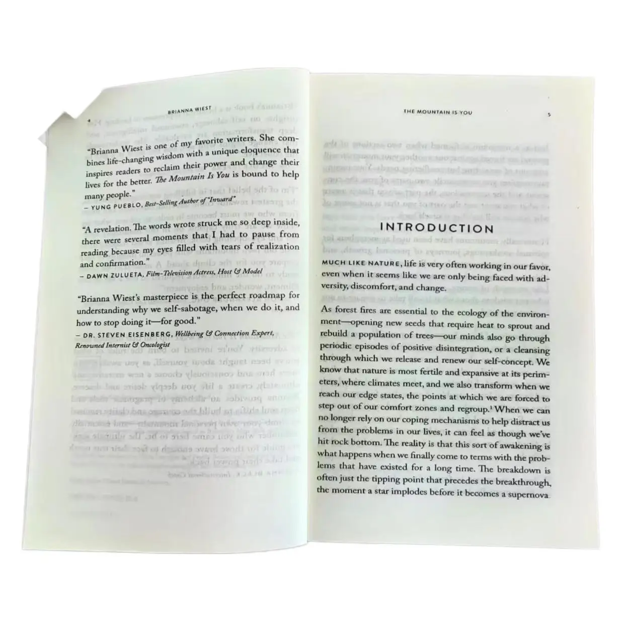 The Mountain Is You: Transforming Self-Sabotage in Self-Mastery English Books