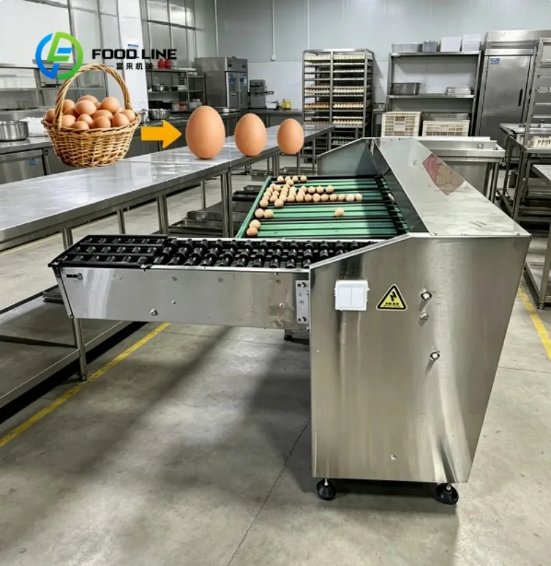 Automatic Egg Grader Equipment High Performance Sorting Machine for Poultry Farms and Egg Plants