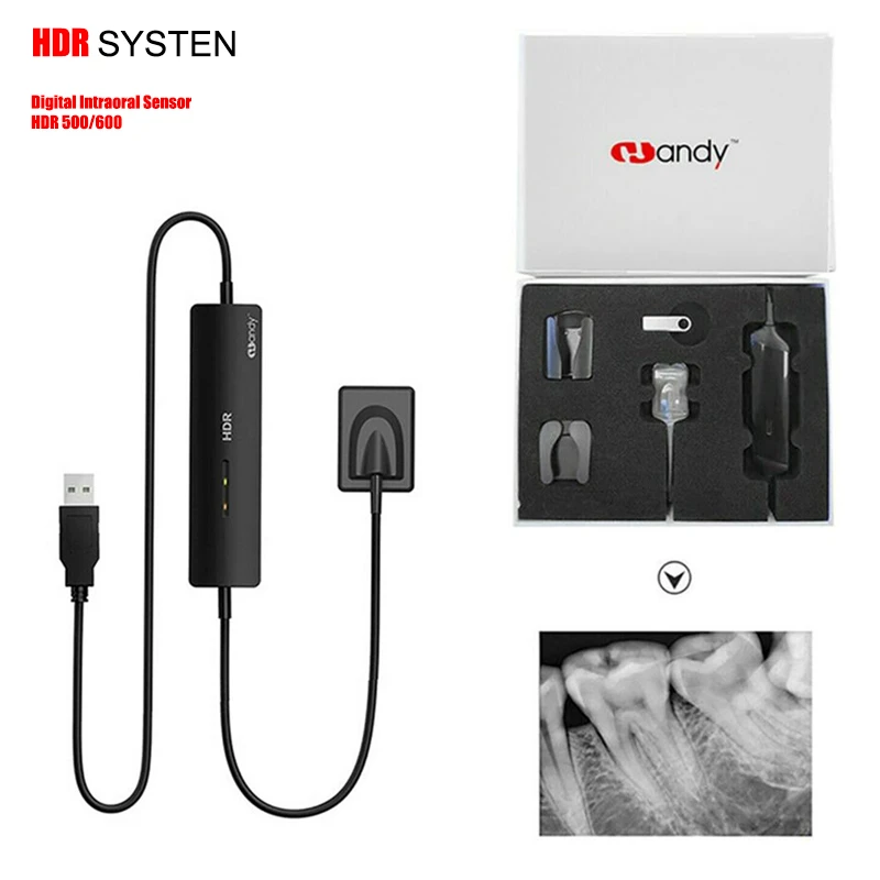 Dental X Ray Sensor HDR 600 Intraoral RVG Digital Sensor Include Multi-lingual System Software 3m Cable Fast Transmission