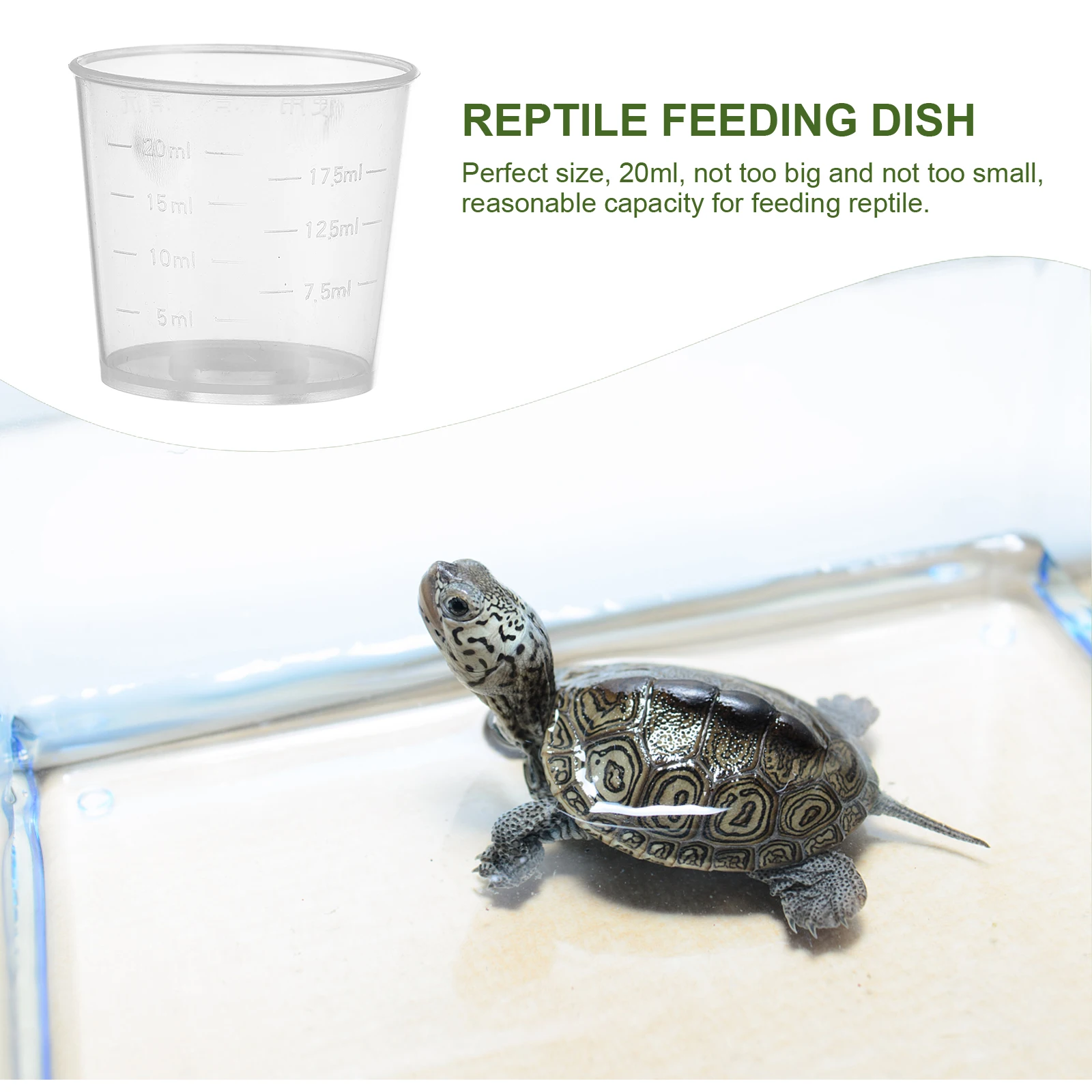

20pcs Cup Set Reptile Feeder 20ml Capacity Reptile Feeding Bowl Plastic Wide Application Pet Food Water Scale