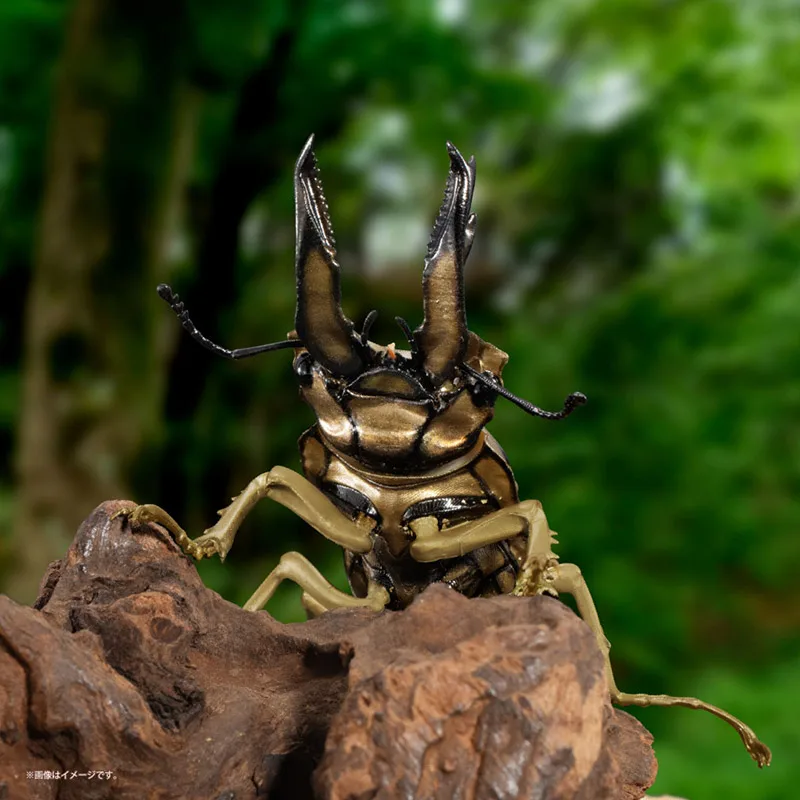 بانداي الأصلي غاشابون الموسوعة البيولوجية سلسلة الأيل بيتل 09-الشبح الذهبي/منشار أحمر اثنين شخصية خنفساء الأيل