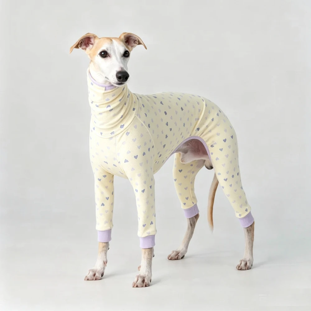 Italiaanse windhond Wellingtonian herfstkleding, zachte vierpotige crèmekleurige pyjama voor Whippets, hondensweater met hoge hals.