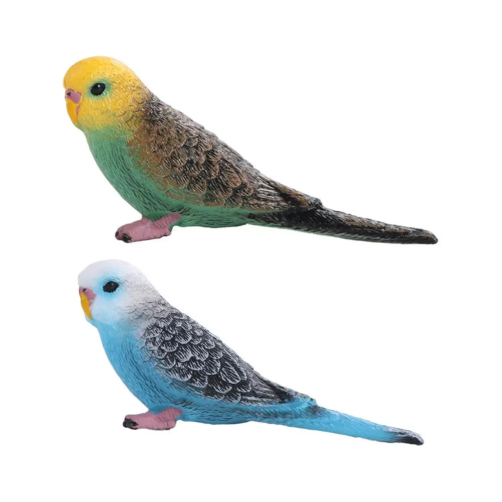 Creative Miniatures Simulated Budgie Parrot Educational Plastic Bird Figurines Cartoon Parrot Ornament Party