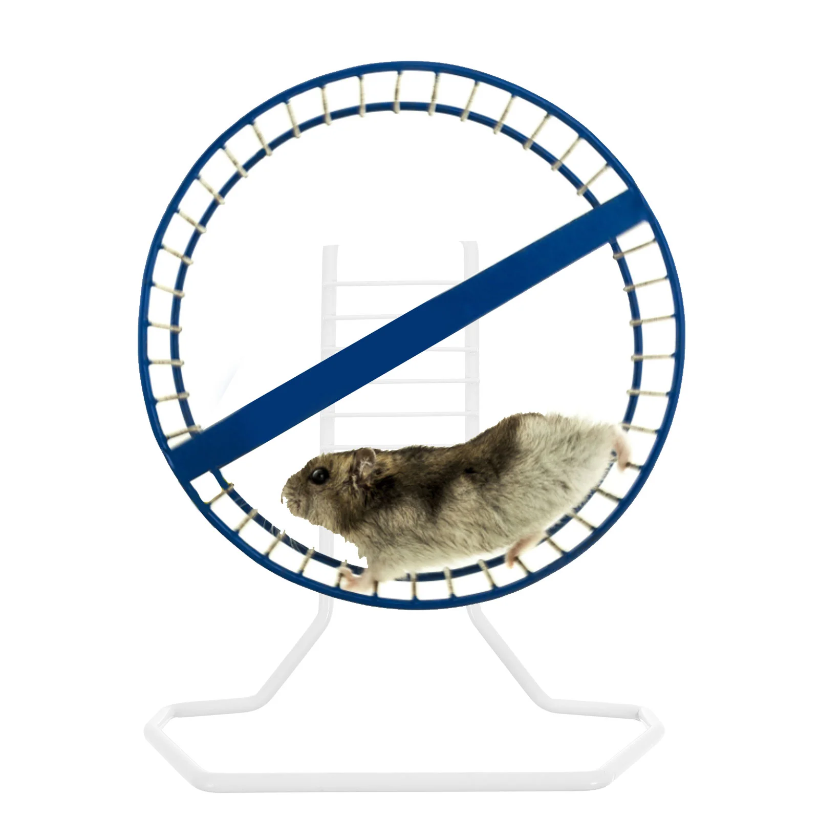 Thumbnail 3 - #26 Hamster Exercise Wheels List of Top Picks