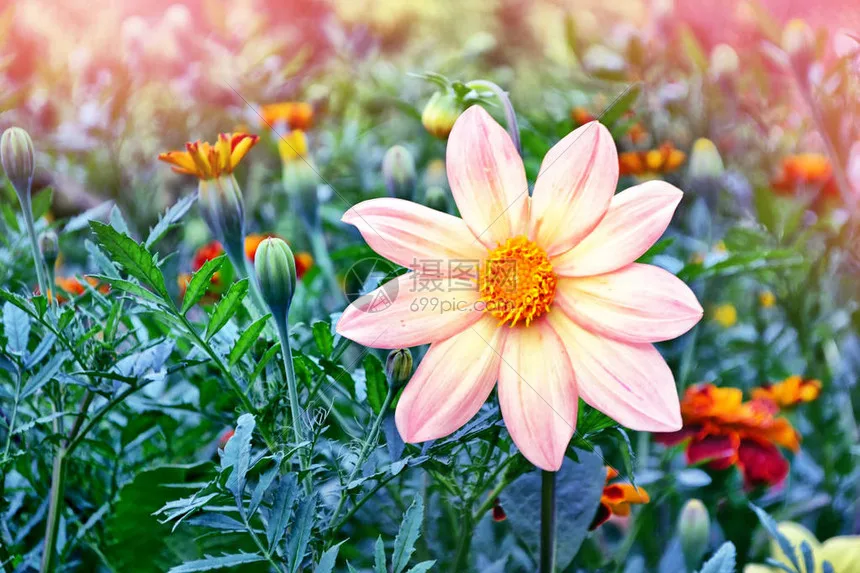 

FOR MJX Hyper Go 10303 10304 Metal Steering Cup Hub Carrier Steering Assembly Swing Arm Set 1/10 RC Car Upgrade Parts Accessorie