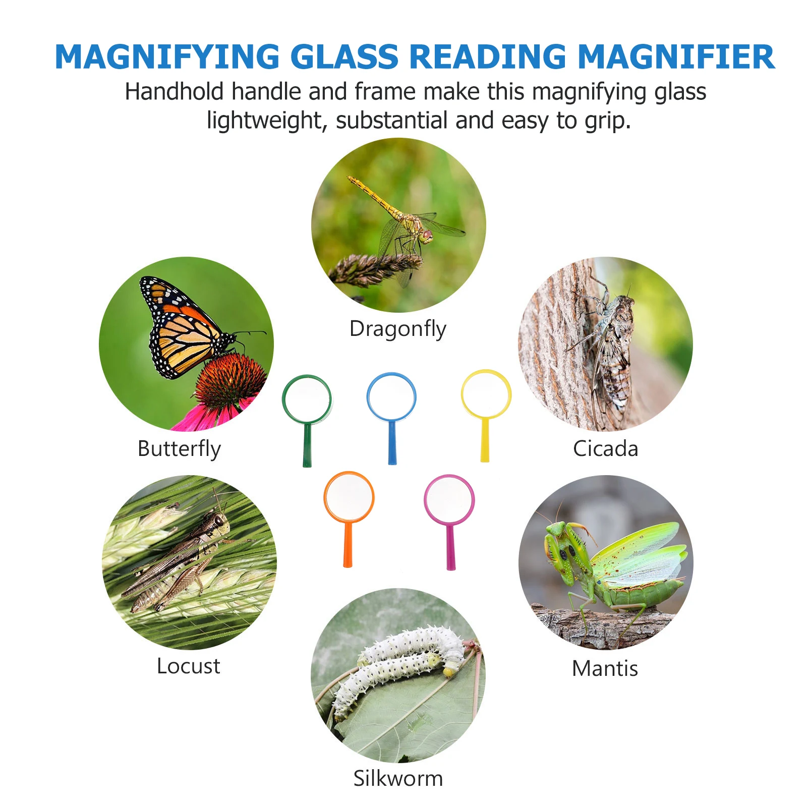

15Pcs Handheld Glass Lightweight Magnifying Glass Mini Plastic Insect Magnifier Reading Tool for Elders Students