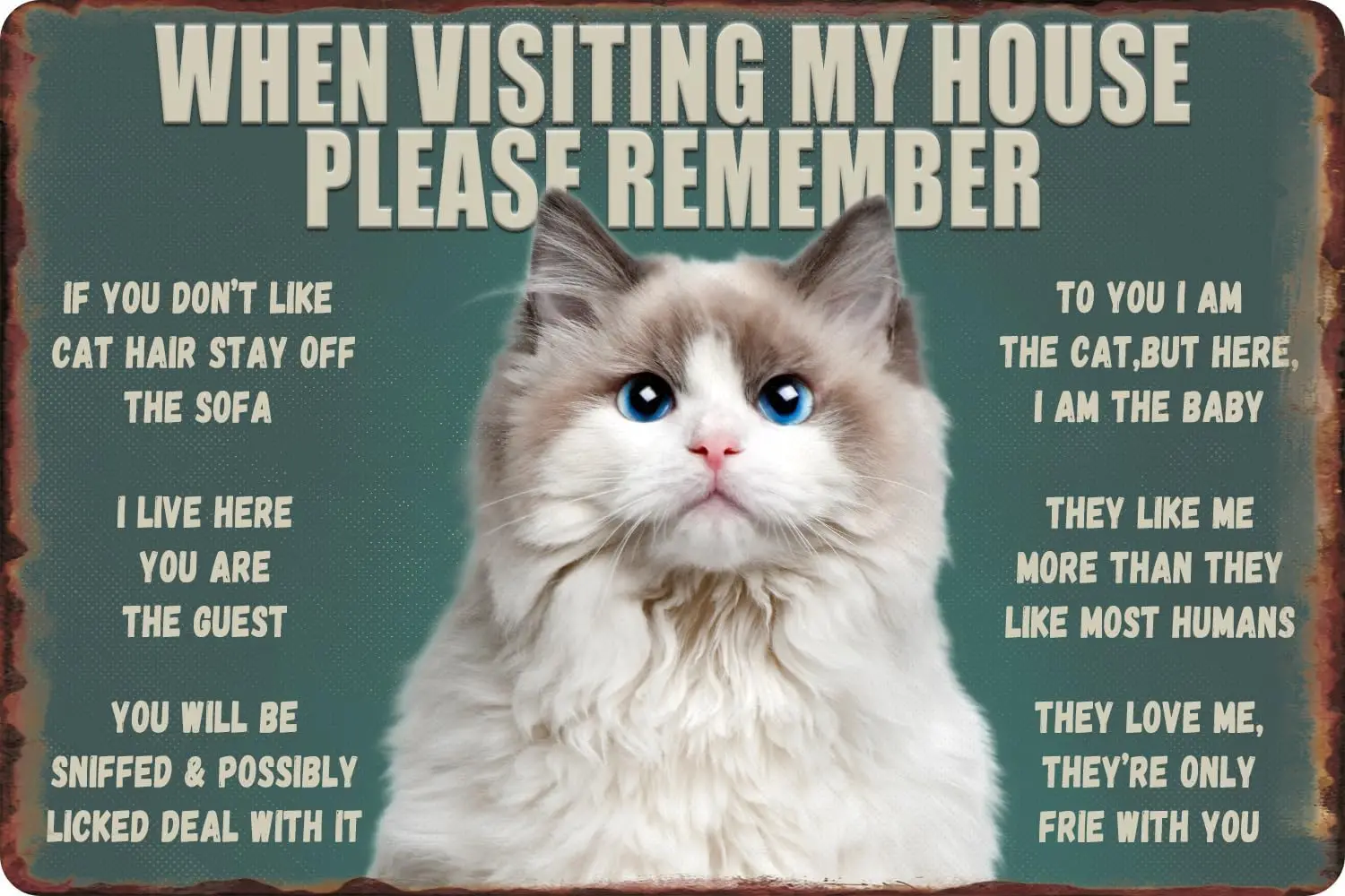Funny Cat Metal Tin Sign - When Visiting My House Please Remember - Rules Sign Gift for Cat Lover Home Bedroom Outdoor Bath sign