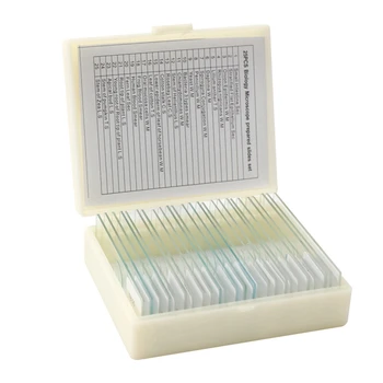 25 pieces of biological glass specimen prepared basic tissues science cover portable microscope slides educational specimens easy to use