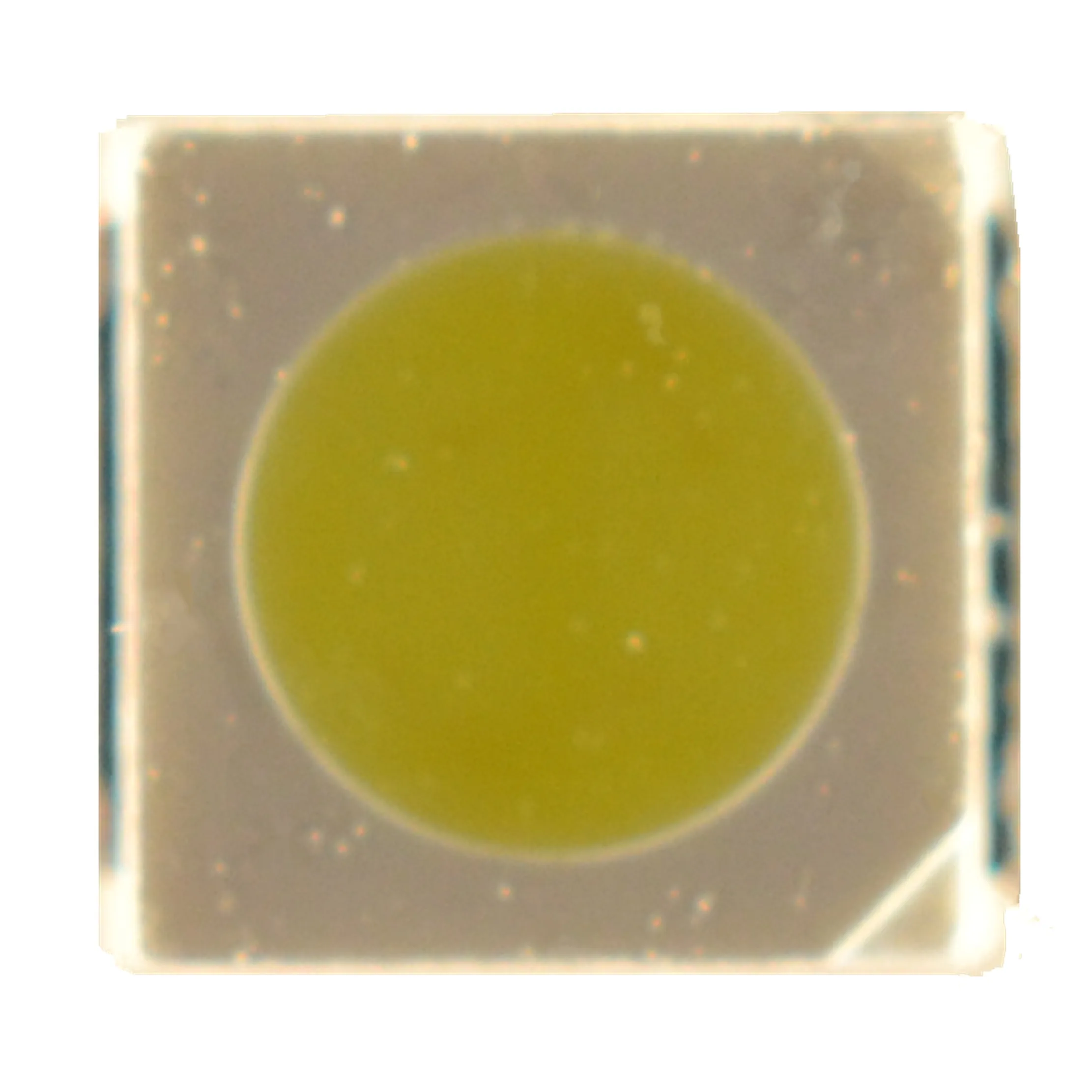 1000PCS Light source TV backlight LED light bead cold white 3030 3528 2835 3-3.6V 2W 230l LM Cool white 600MA