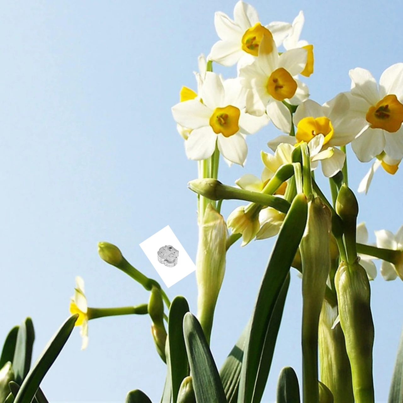 مجموعة مبيت ناقل الحركة GPM من الألومنيوم 7075 لأجزاء ترقية AXIAL UTB18 Capra 1/18 AXI01002