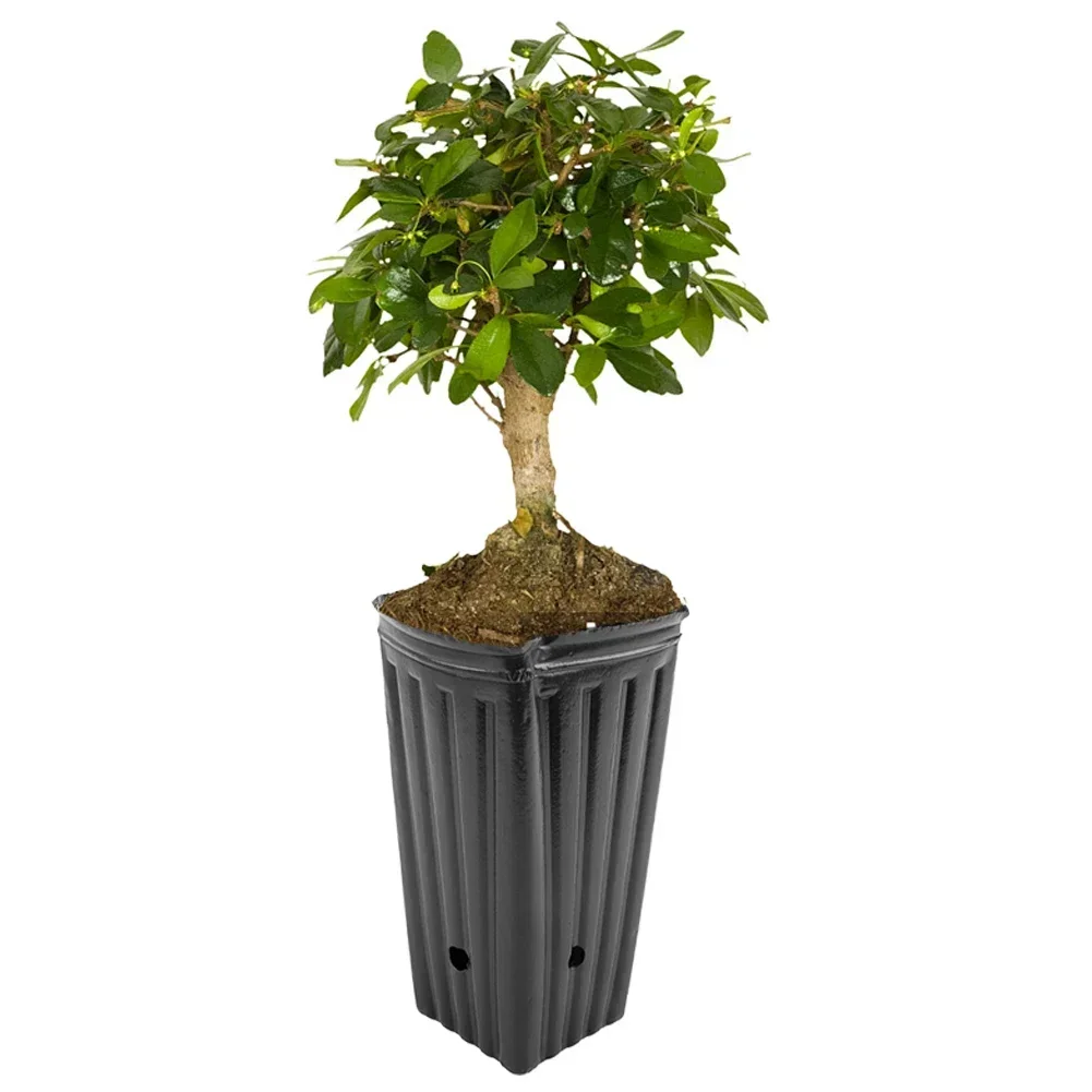 실내 옥외 식물을위한 새로운 꽃 보육 나무 냄비 식물 컨테이너 10*20*10CM 350g 7.8 인치 재사용 가능