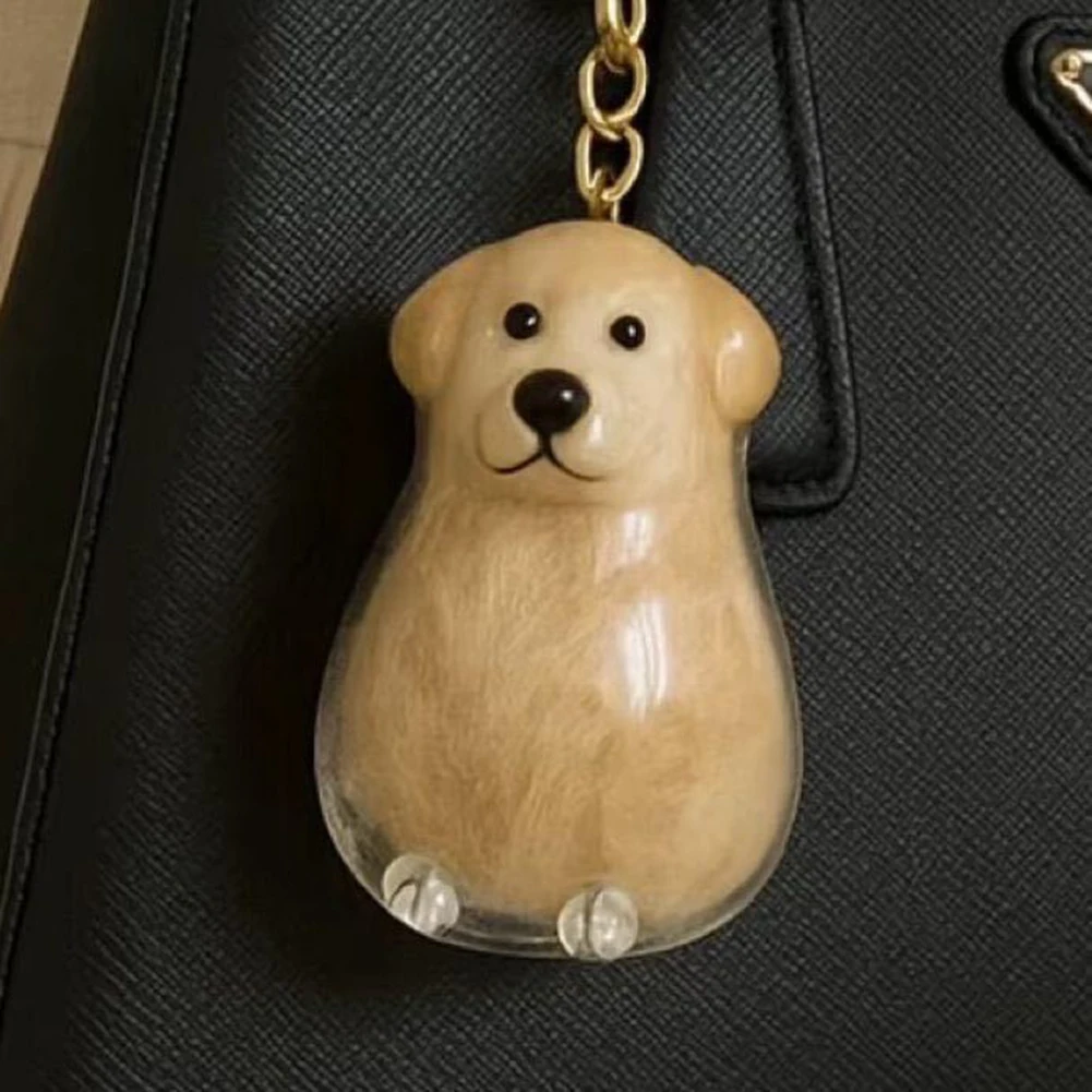 Dog Hair Collector Keychain Waterproof Transparent Bottle Charm Wear Resist Memorial Storage Box Portable Pet Memory Capsule