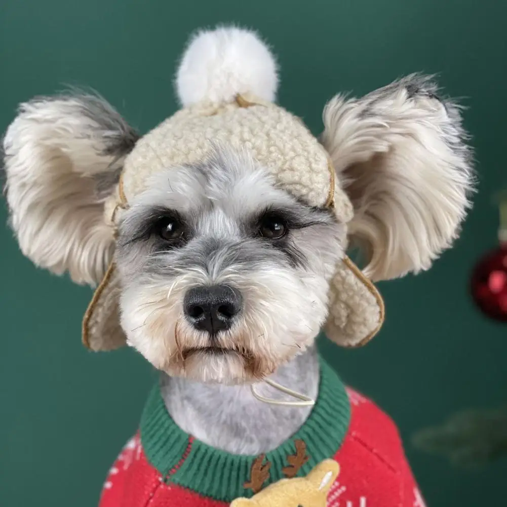 

Winter Dogs Hat Winter Dogs Hat Puppy Warm Handsome Poilt Cashmere Dog Cap Lovely For French Bulldog Teddy Schnauzer