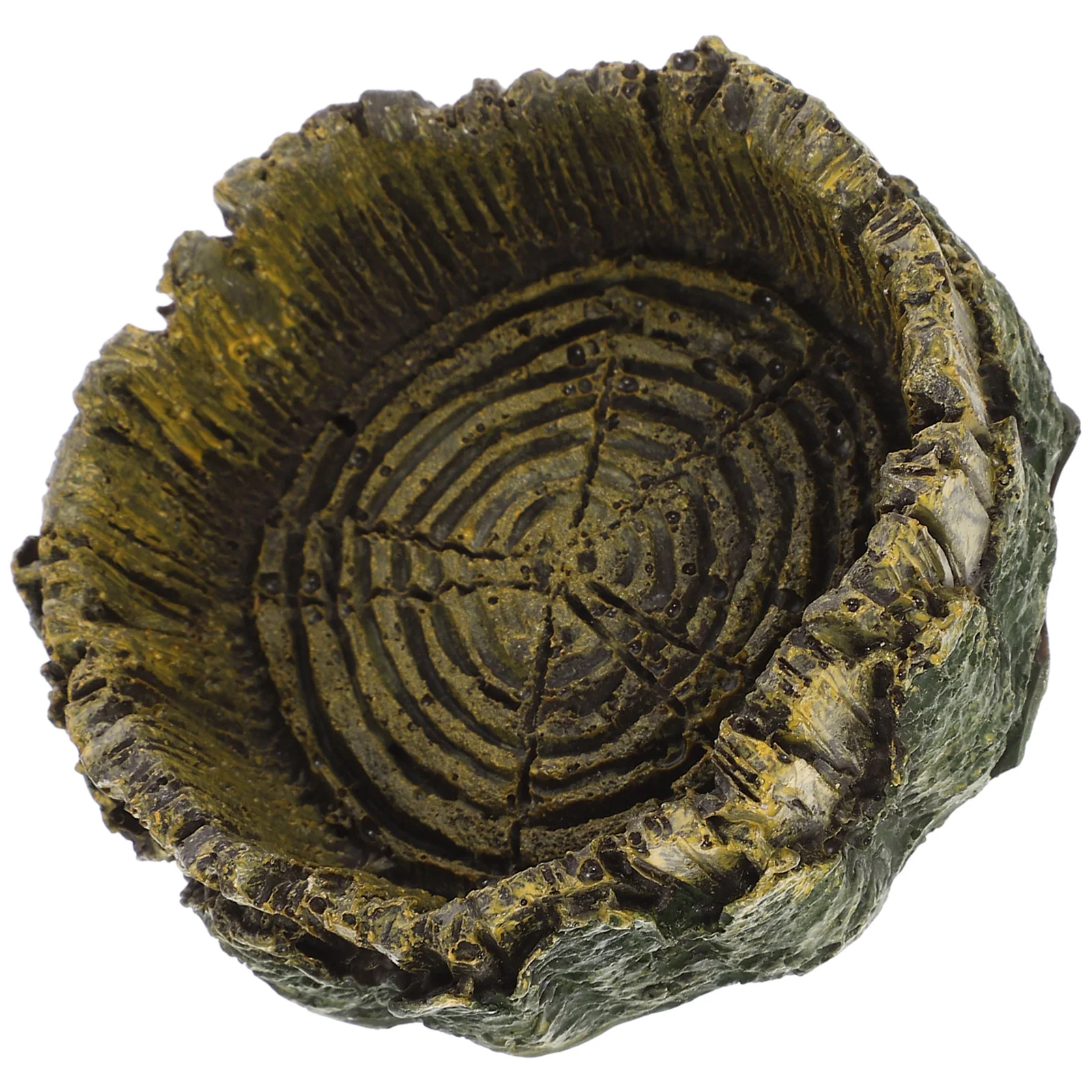 

Reptile Feeding Bowl Imitation Wood Grain Resin Food Water Dish Anti-Spill Stable Design for Geckos Bearded Dragon Tortoise