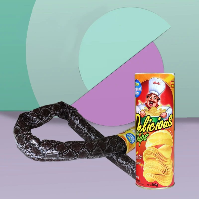 Funny Potato Chip Can Jump Spring Snake Toy Gift April Fool Day Halloween Party Decoration Jokes Prank Trick Fun Joke Toys