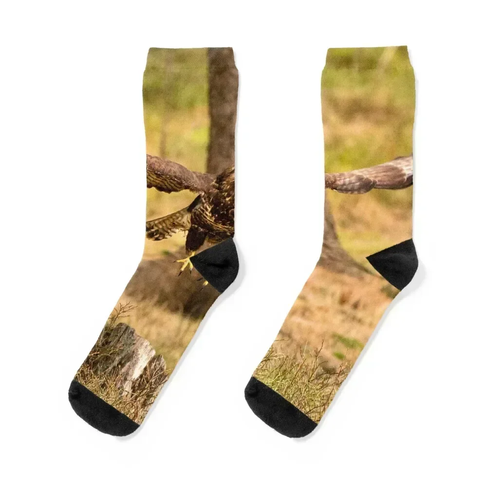 Common Buzzard Socks anti slip football gifts cute short Socks Male Women's