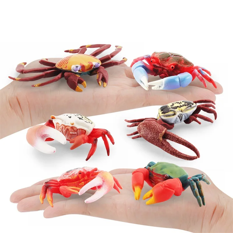 Simulazione Kawaii Marine Animal Crab Lobster Action Figures modello Fish Tank Decor corpo marino giocattoli educativi cognitivi per bambini