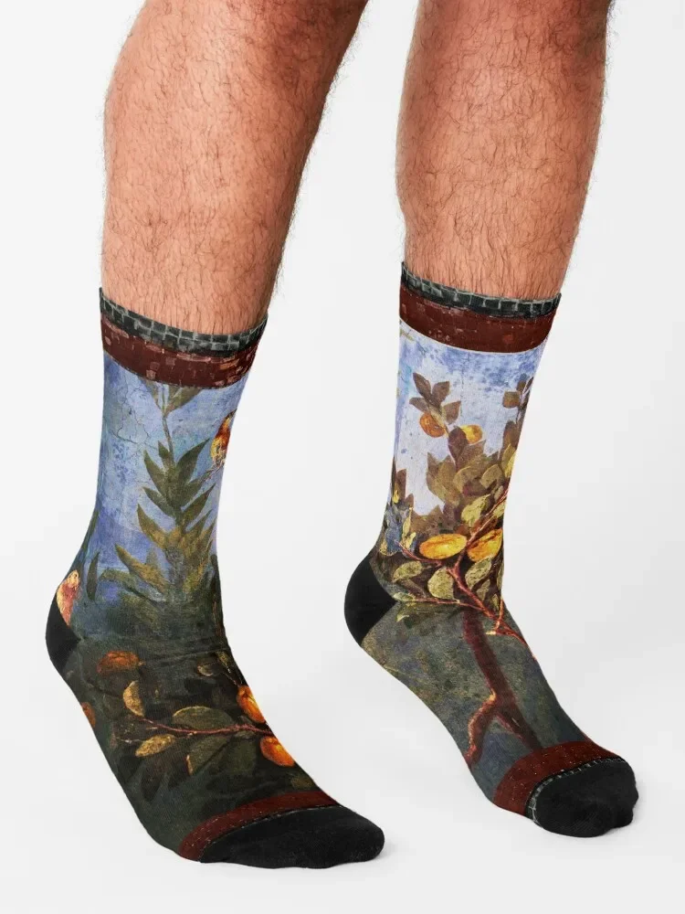 Calcetines sueltos de lujo para hombre y mujer, medias con pintura de pared romana antigua, flores, jardín, pájaros voladores, sobre árboles de madera, novedad