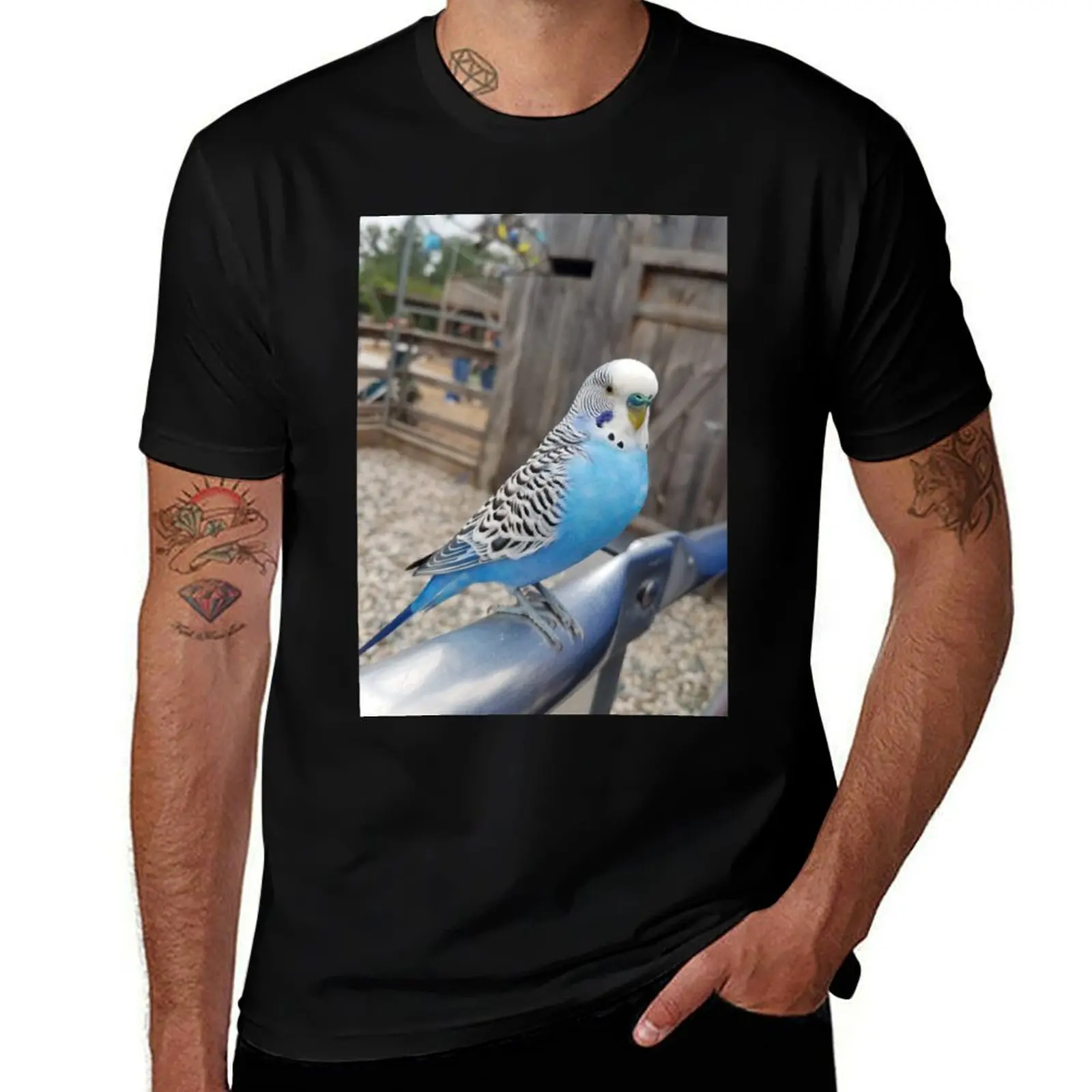 Blue & White Parakeet Sitting T-Shirt Holiday Outdoor T-Shirt