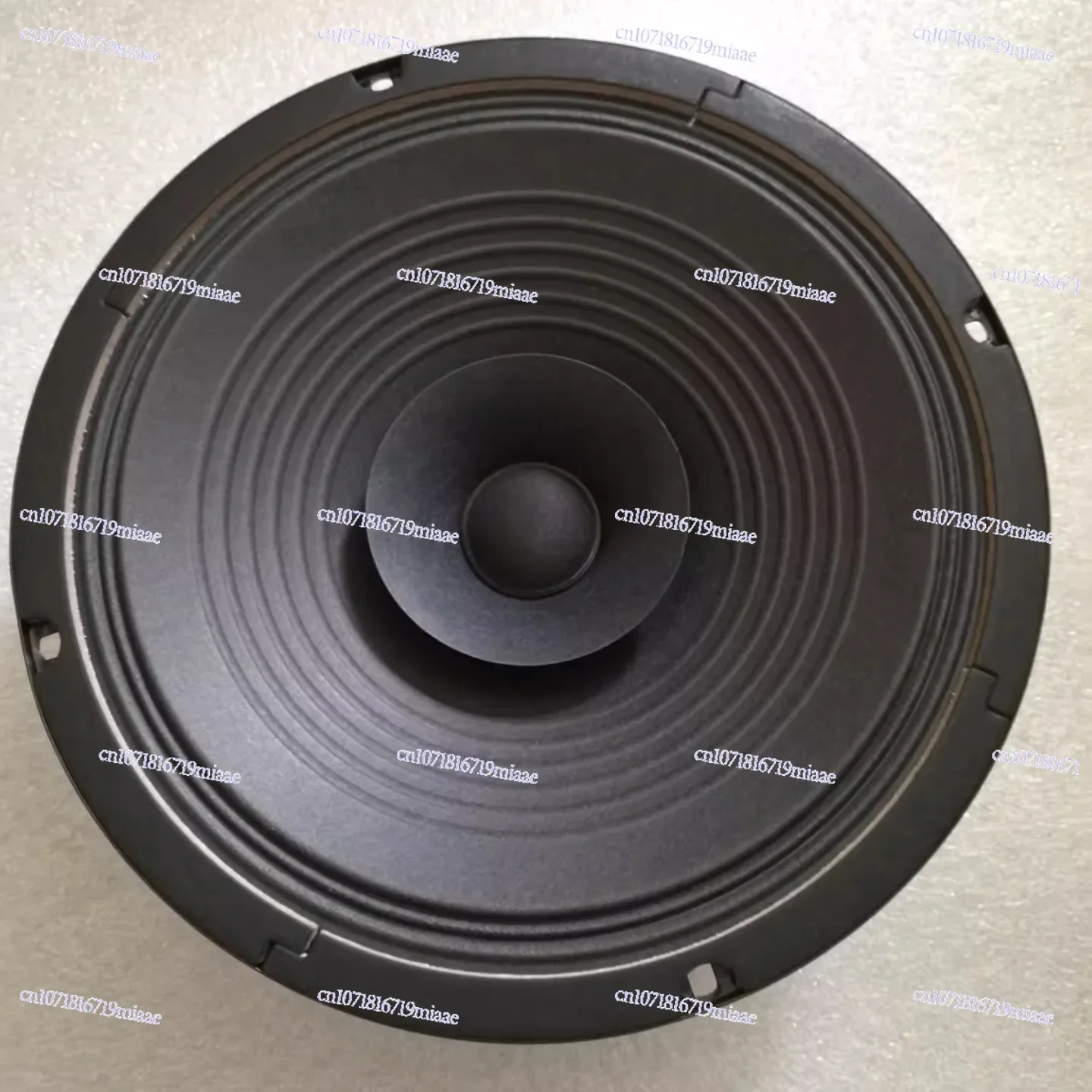 10-inch Double Paper Basin, One Paper To The Side Ten-inch Full-range Speaker