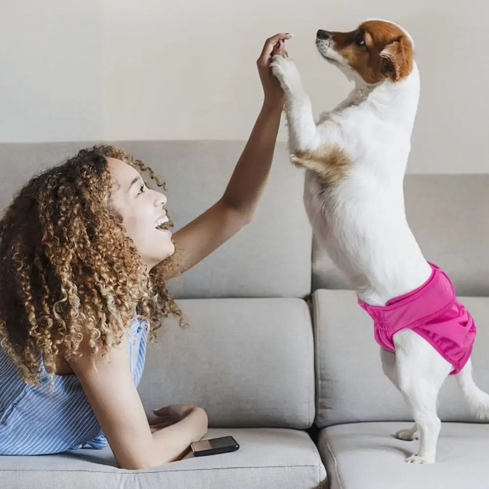 Breathable Female Dog Sanitary Pants Pet Period Diapers Soft Washable Physiological Underwear For Puppy Heat Cycle Briefs