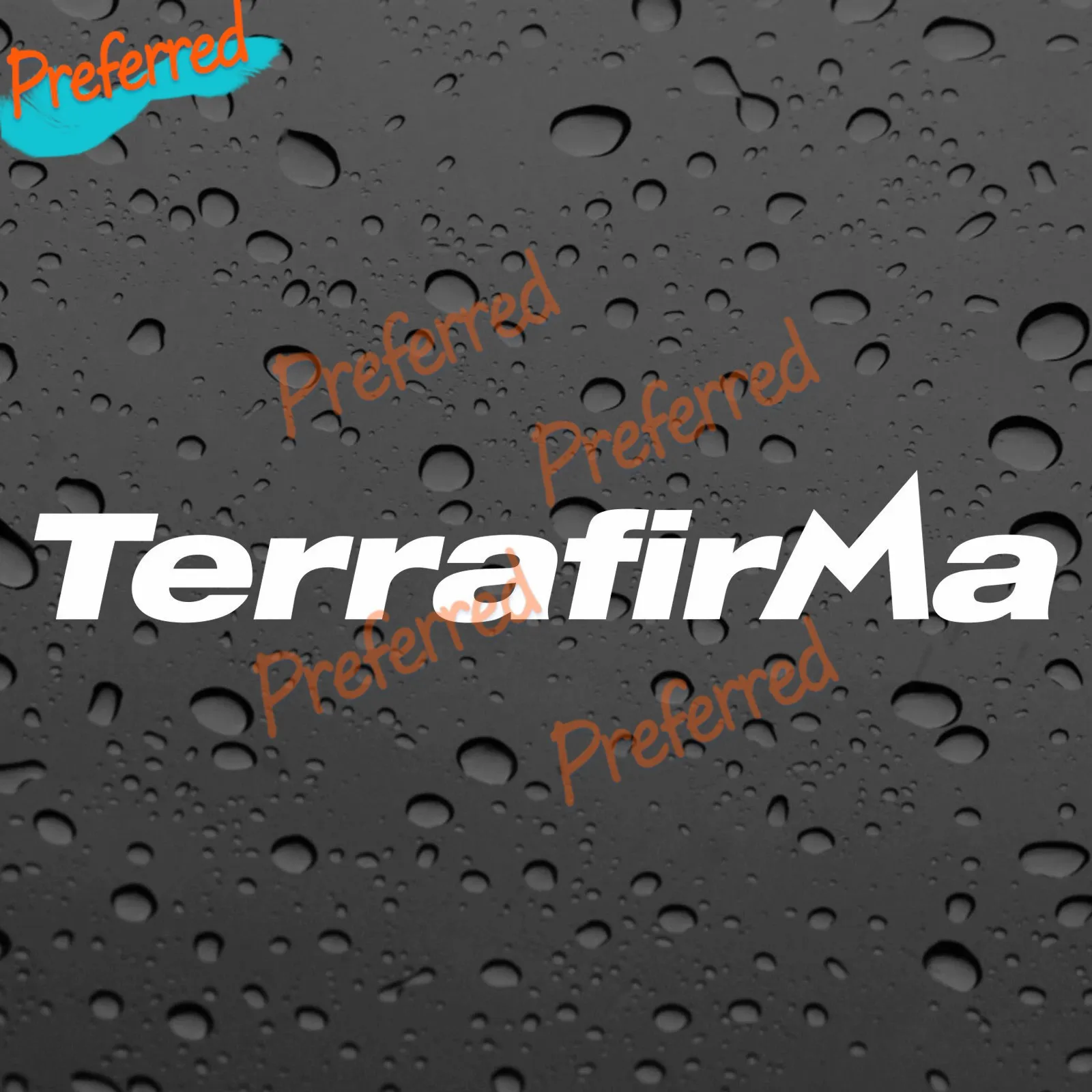 2x TERRAFIRMA PAIR STICKERS WHITE GRAPHICS DECAL STICKER OFFROAD 4X4 Customizable in Any Sticker Size -No Background