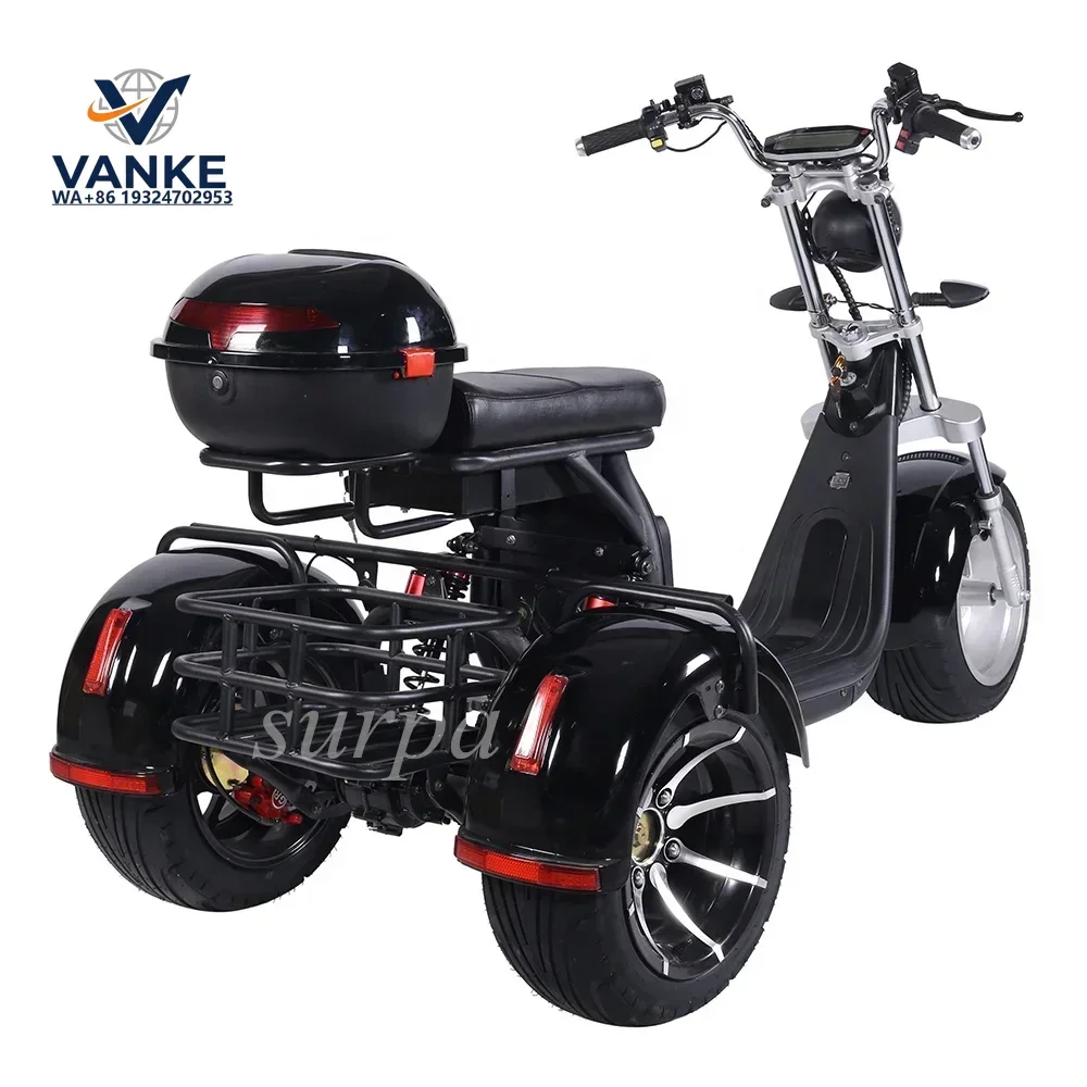 -1000w 2000w 60v12ah /20ah two removable battery citycoco  f a t tire 3 wheel golf board cycle board electric scooter